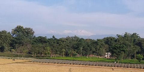 AALO North Bengal Tour 2019